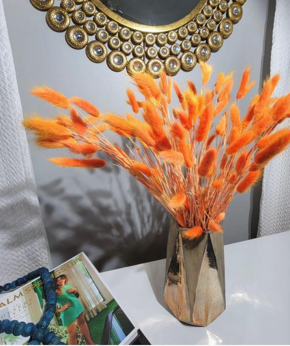 Bunny Tails Stems