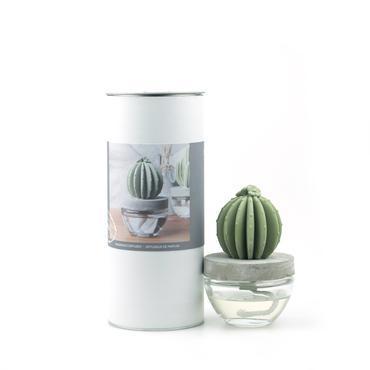 Barrel Cactus Ceramic Diffuser Gift Set -