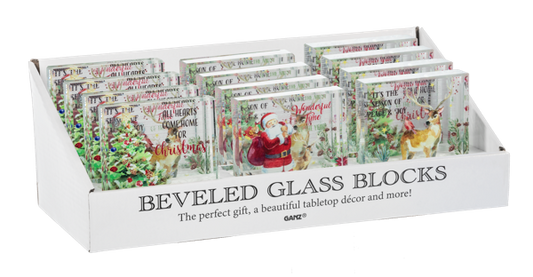 A Winter Story Beveled Glass Blocks