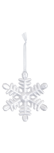 Frosted Snowflake Ornaments