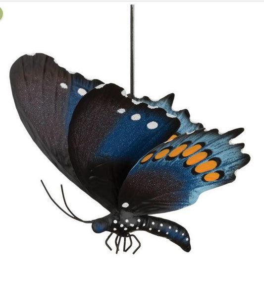 Butterfly Bouncie - Pipevine