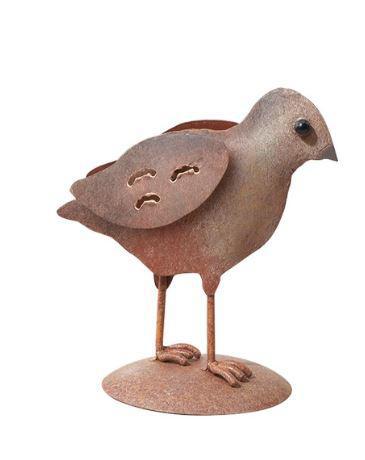 Quail Chick