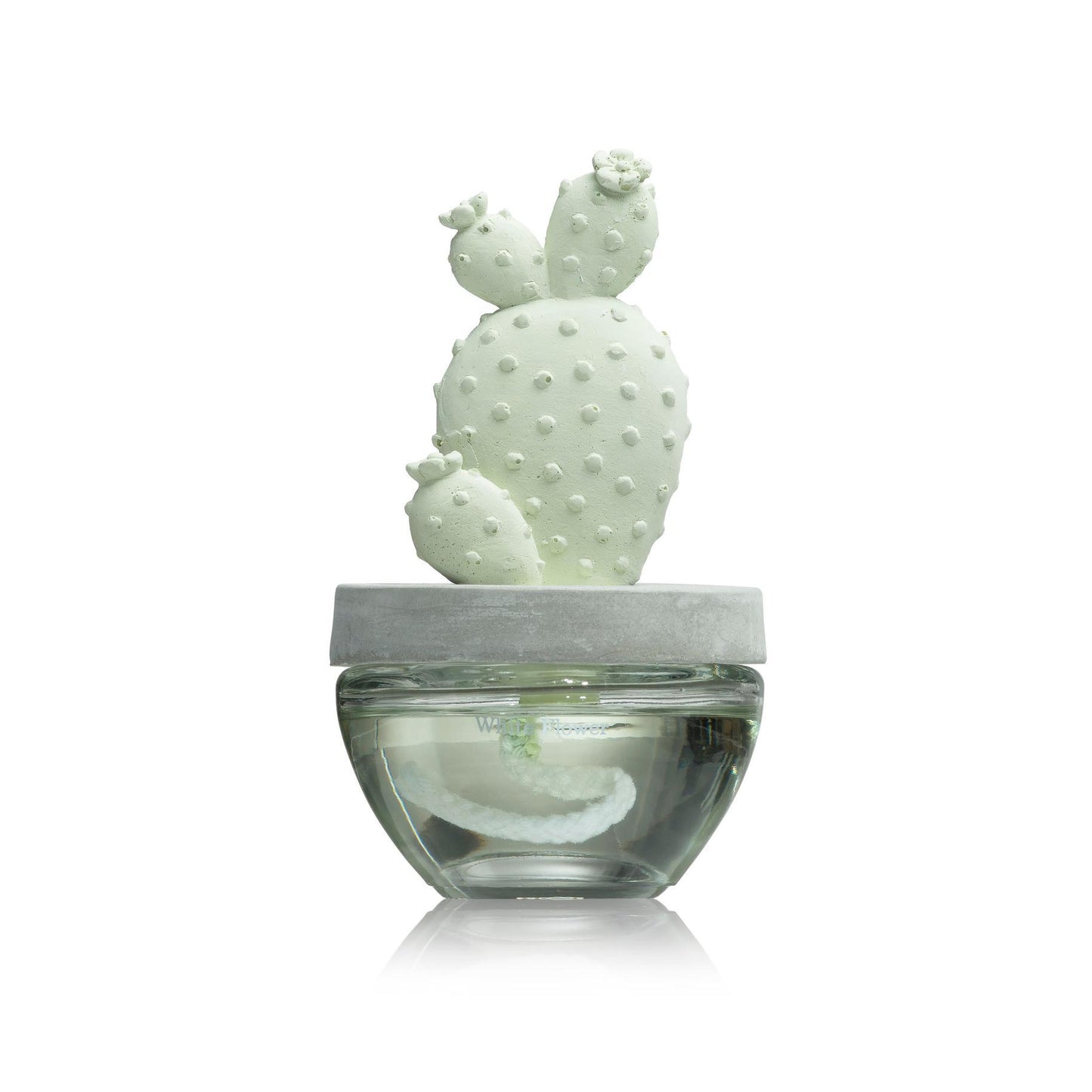 Bunny Ear Cactus Ceramic Diffuser Gift Set