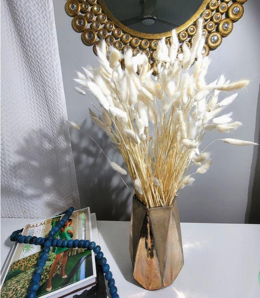 White Bunny Tails Stems Dried Florals