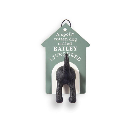 Dog Leash Hook Bailey